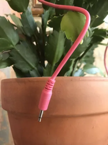 Elevator Sound Cables Pink 60cm Straight Eurorack (5 Pack)