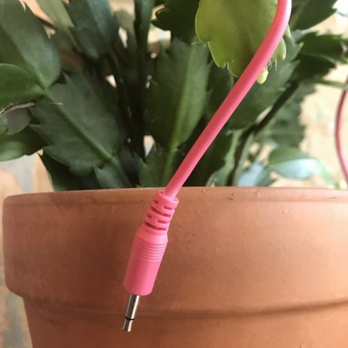 Elevator Sound Cables Pink 60cm Straight Eurorack (Single)