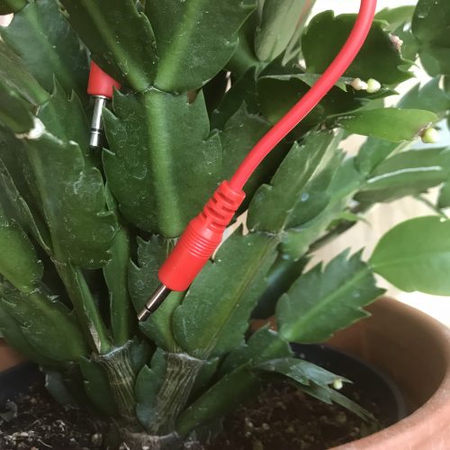 Elevator Sound Cables Red 75cm Straight Eurorack (5 Pack)