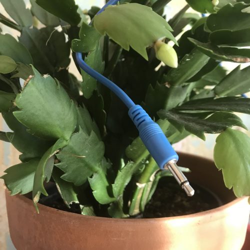 Elevator Sound Cables SkyBlue 120cm Straight Eurorack (5 Pack)