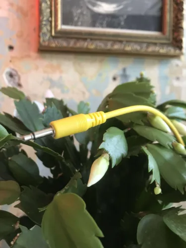 Elevator Sound Cables Yellow 15cm Straight Eurorack (5 Pack)