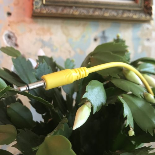 Elevator Sound Cables Yellow 15cm Straight Eurorack (5 Pack)