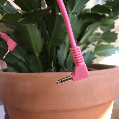 Elevator Sound Cables Pink 60cm Right Angle Eurorack (5 Pack)