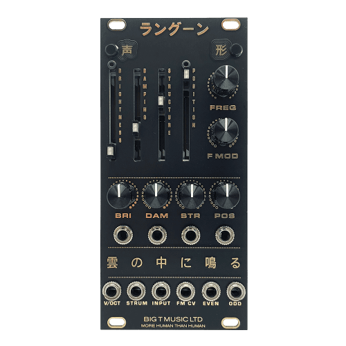 Big T Music Rangoon Eurorack Rings Reissue Module (Black/Gold)