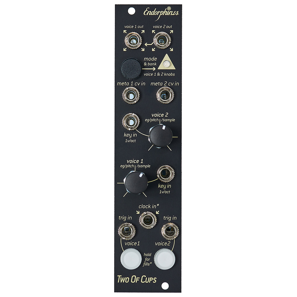 Endorphin.es Two Of Cups Eurorack Dual Channel Sampler Module (Black)