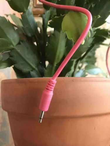 Elevator Sound Cables Pink 60cm Straight Eurorack (5 Pack)