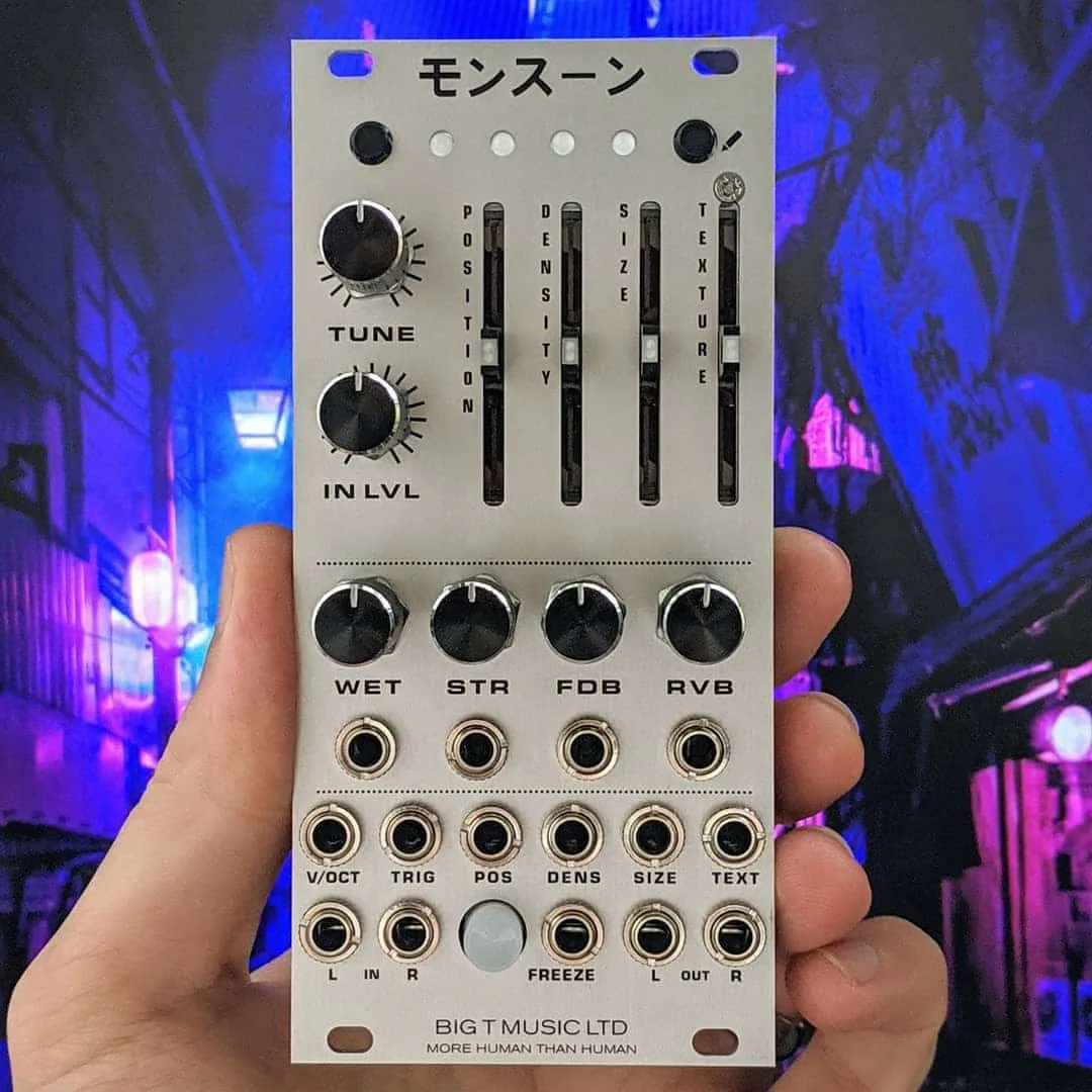 Big T Music Monsoon (Mutable Instruments Clouds) (Silver) - Image 2